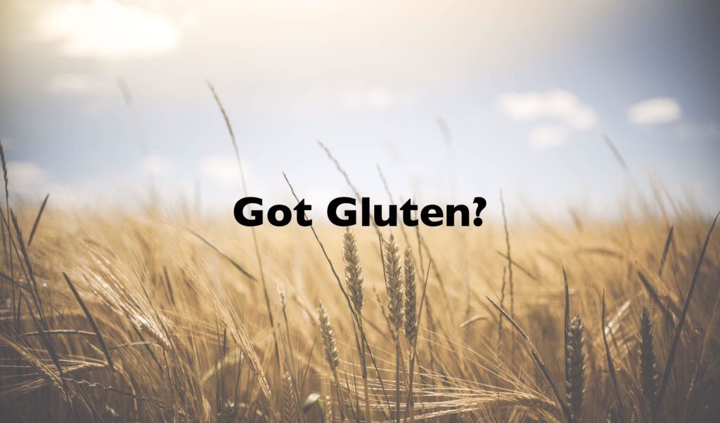 wheat field with "got gluten" written over it 