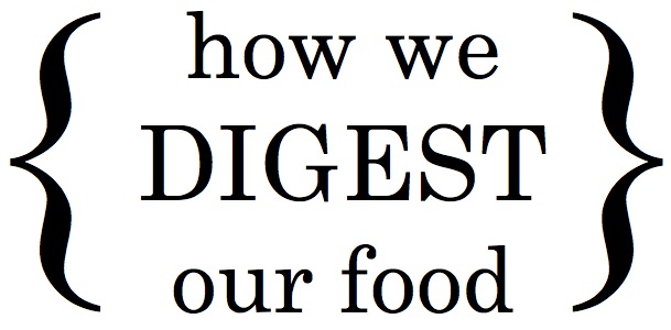 How We Digest Our Food