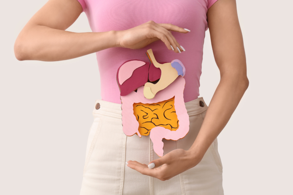 woman holding model cardboard digestive tract 