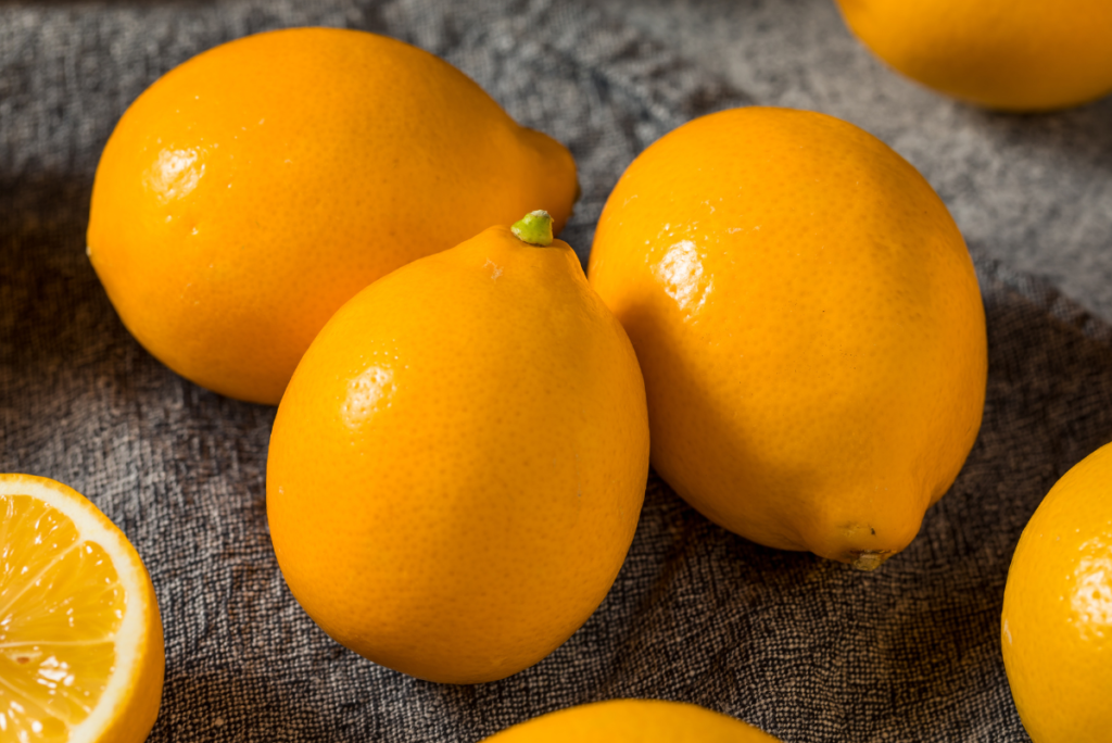 meyer lemons