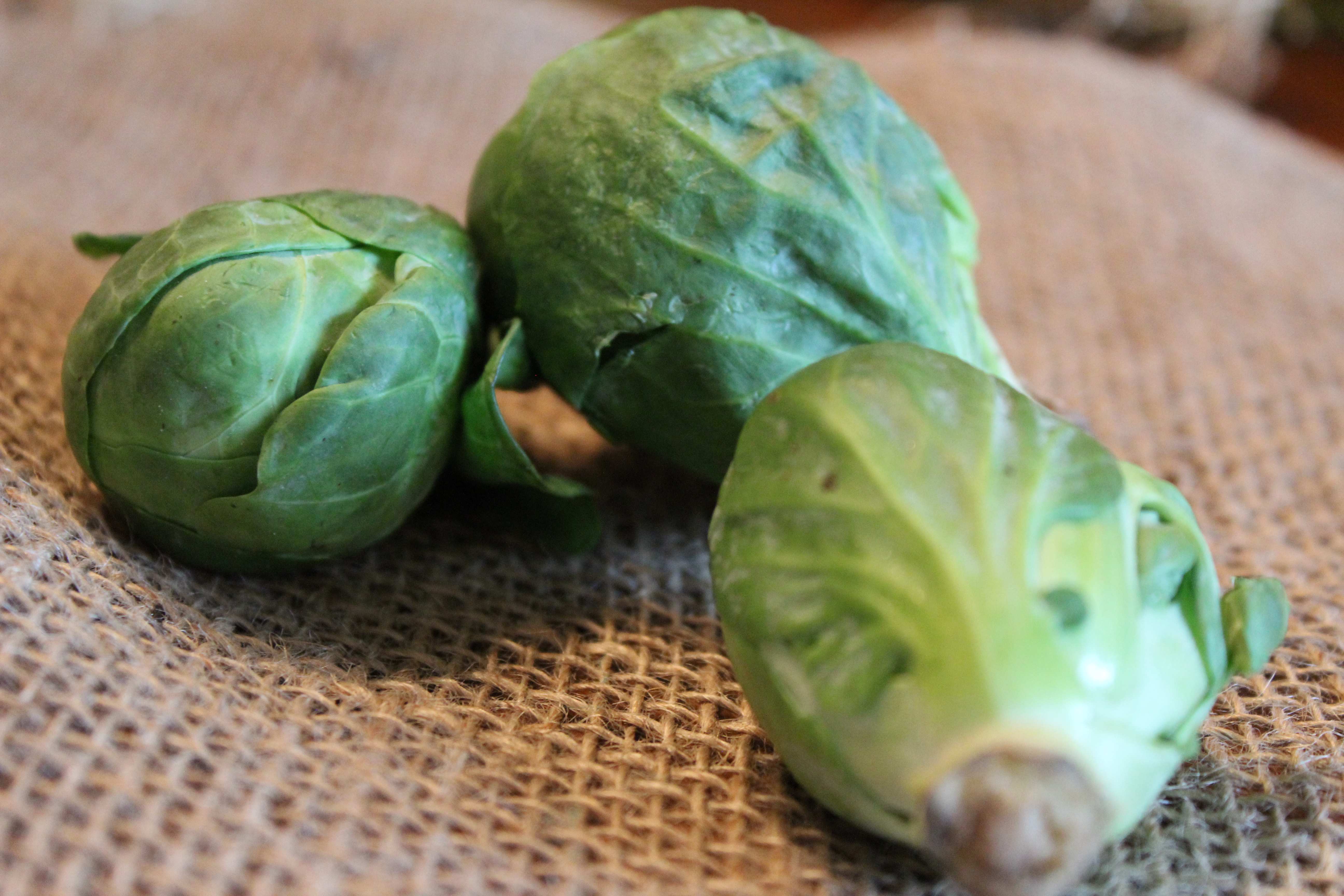 Permalink to: Omega Fatty Acids and Inflammation