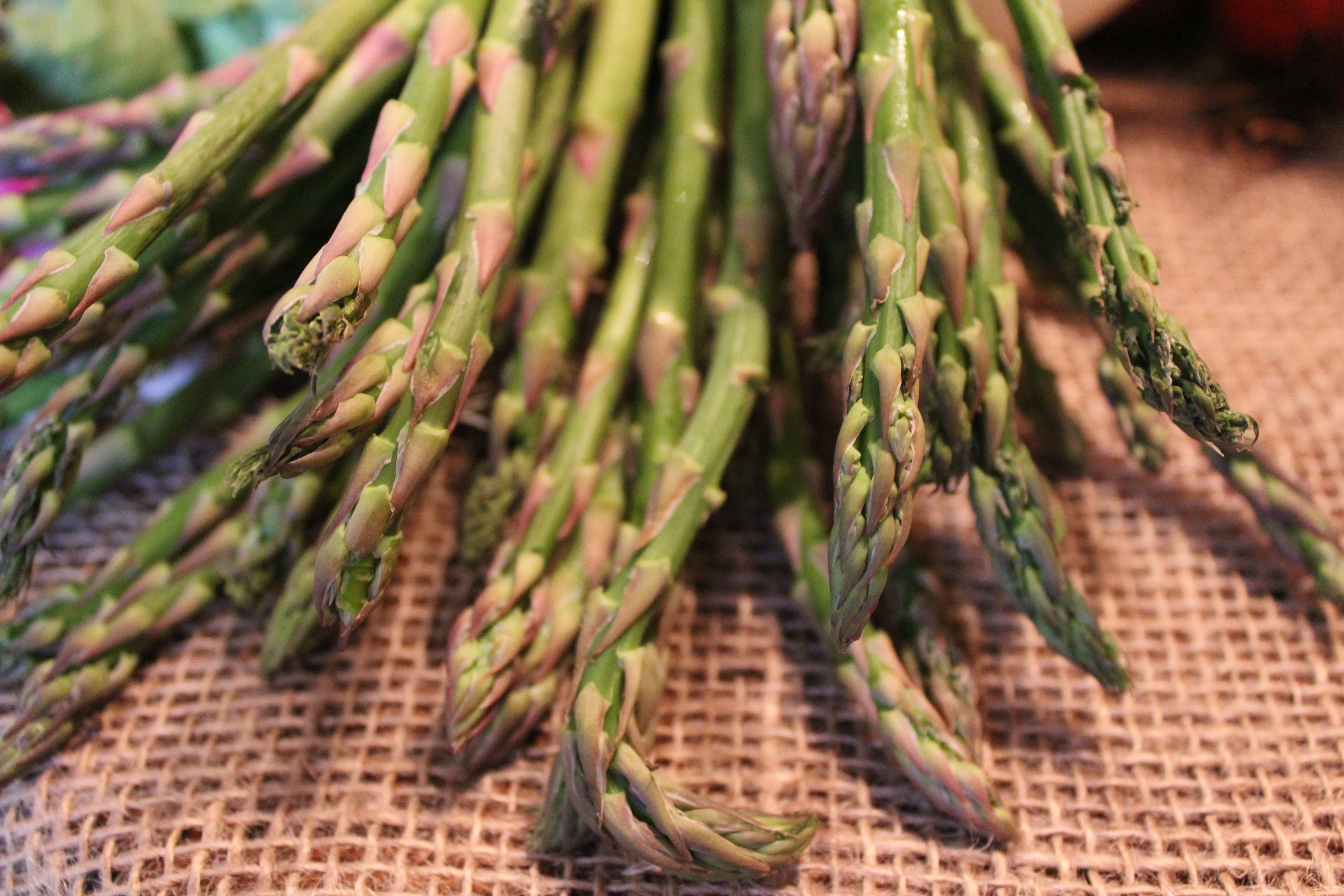 Permalink to: Healthful Eating on a Budget