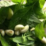 Permalink to: Basil Pesto