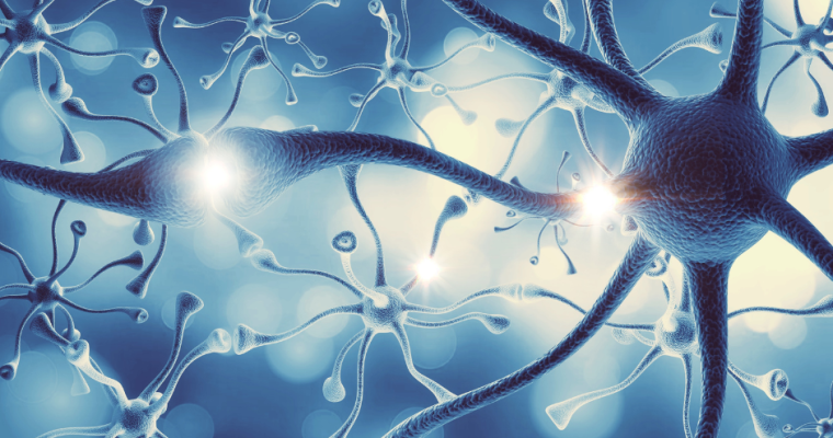 What if Your Gut Isn’t Actually the Whole Problem?